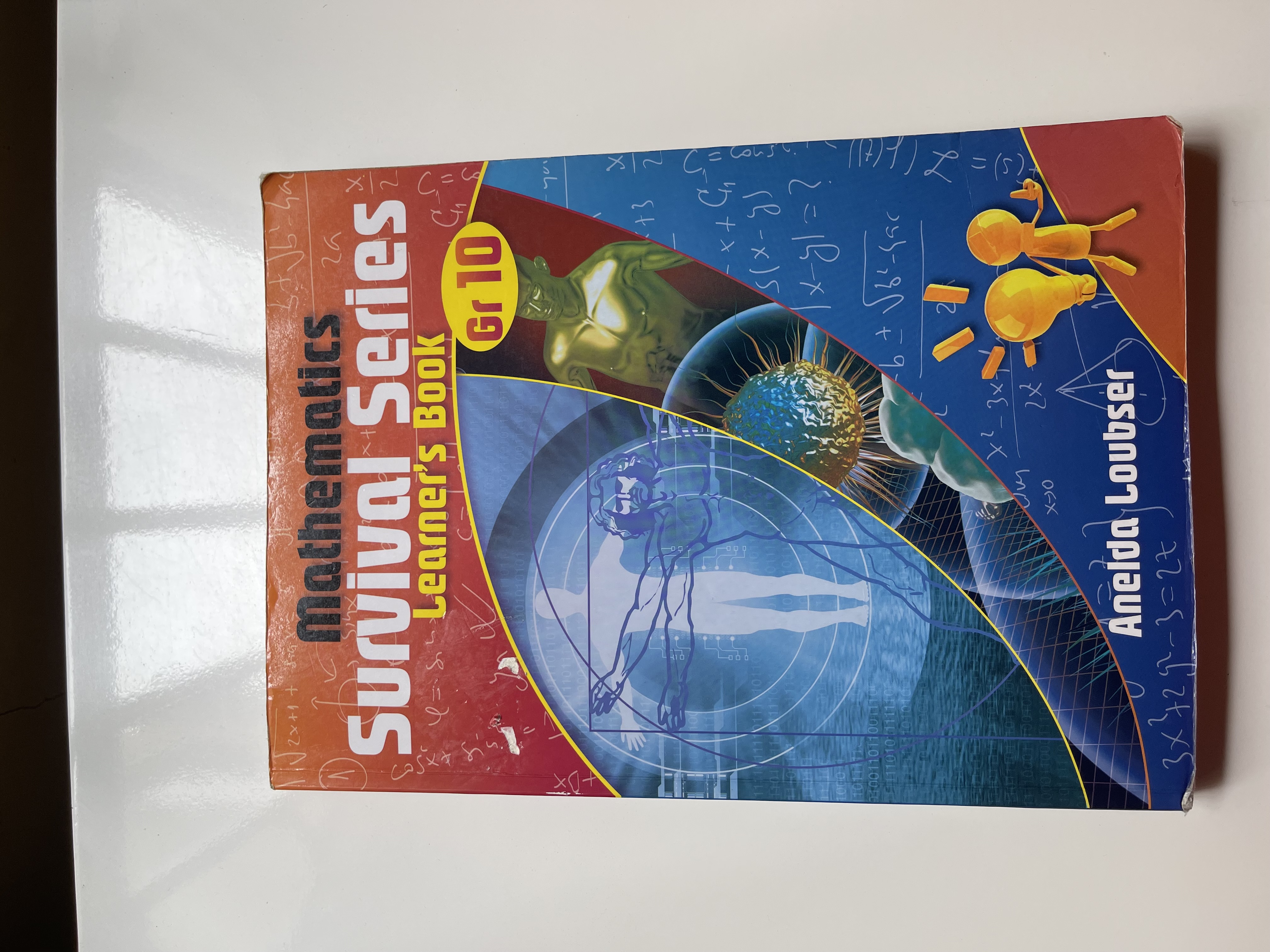 Mathematics Survival Series Learner's Book Gr.10