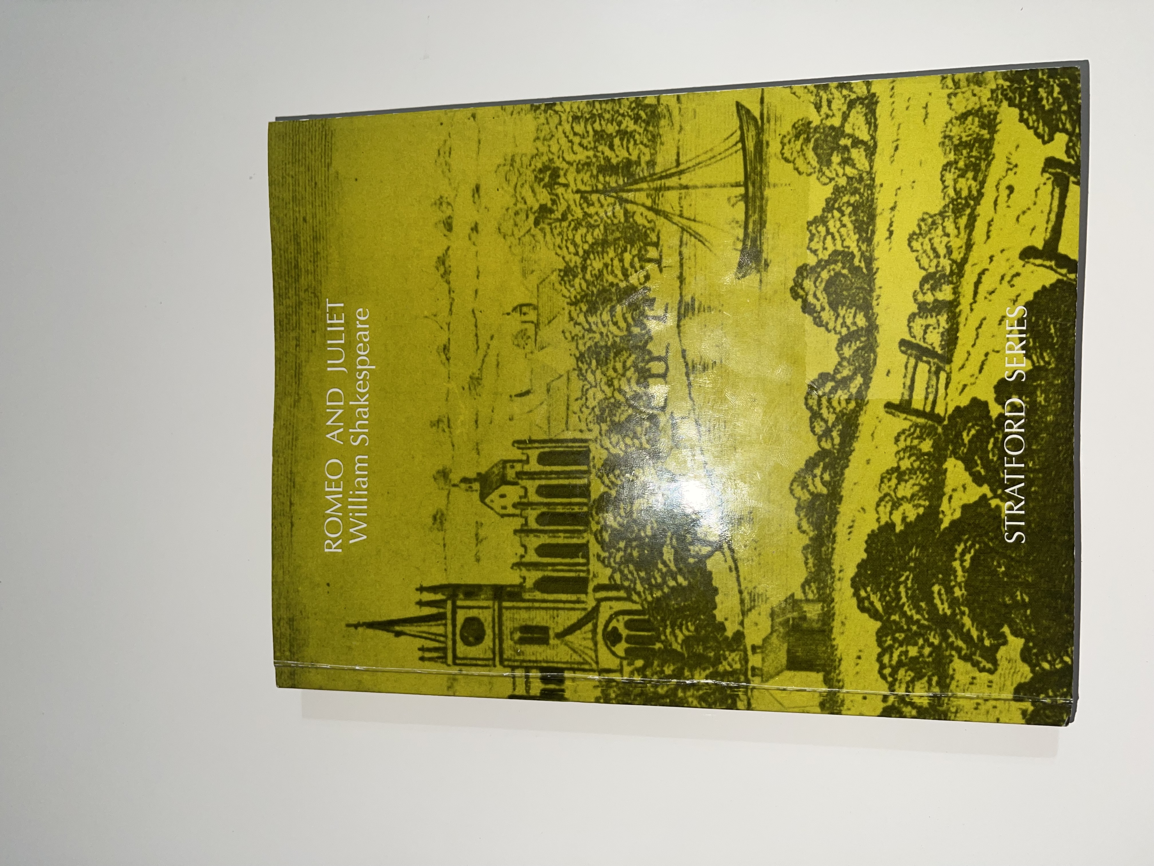 Romeo and Juliet (Literature: Stratford Series)