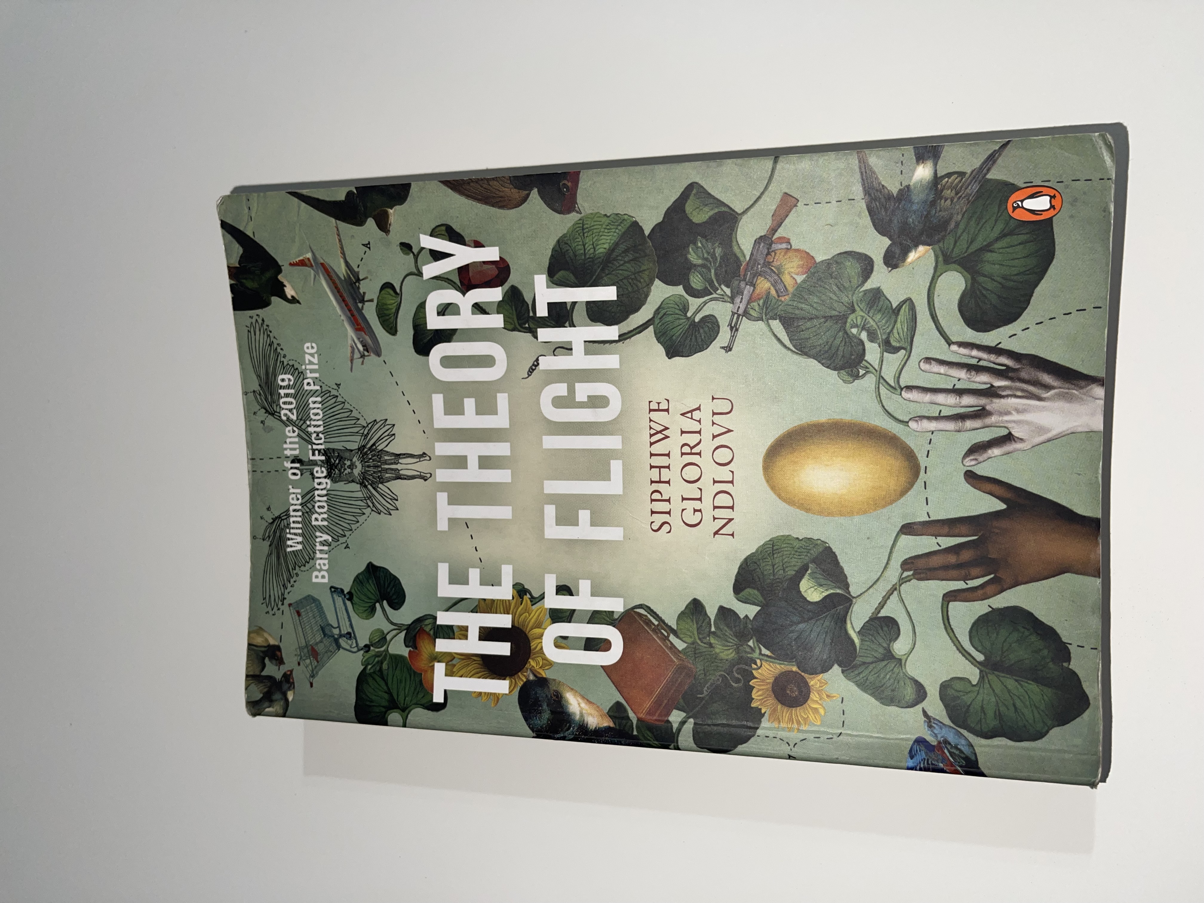 The Theory of Flight